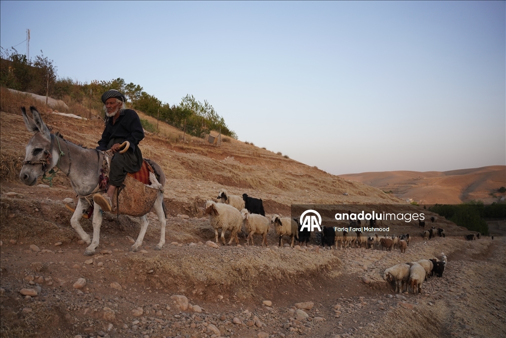 Kerküklü Derviş hem çobanlık yapıyor hem çocuklara Kur’an-ı Kerim öğretiyor