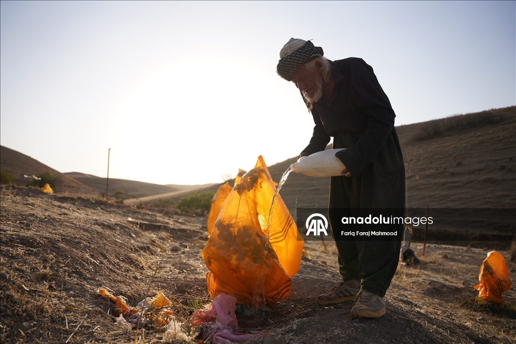 Kerküklü Derviş hem çobanlık yapıyor hem çocuklara Kur’an-ı Kerim öğretiyor