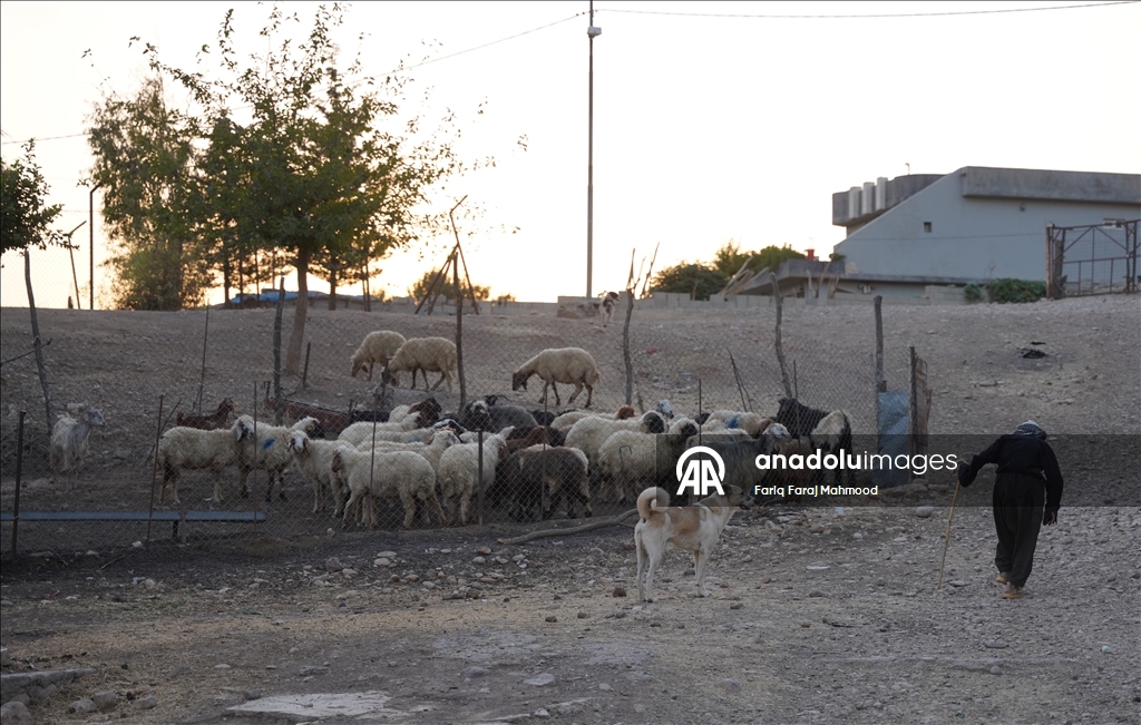 Kerküklü Derviş hem çobanlık yapıyor hem çocuklara Kur’an-ı Kerim öğretiyor