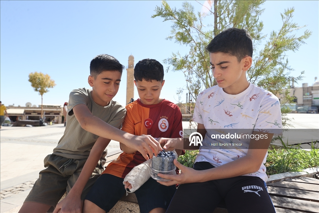 Togg'un yeni modelinin rengine ilham veren lezzet: Mardin mavi badem şekeri