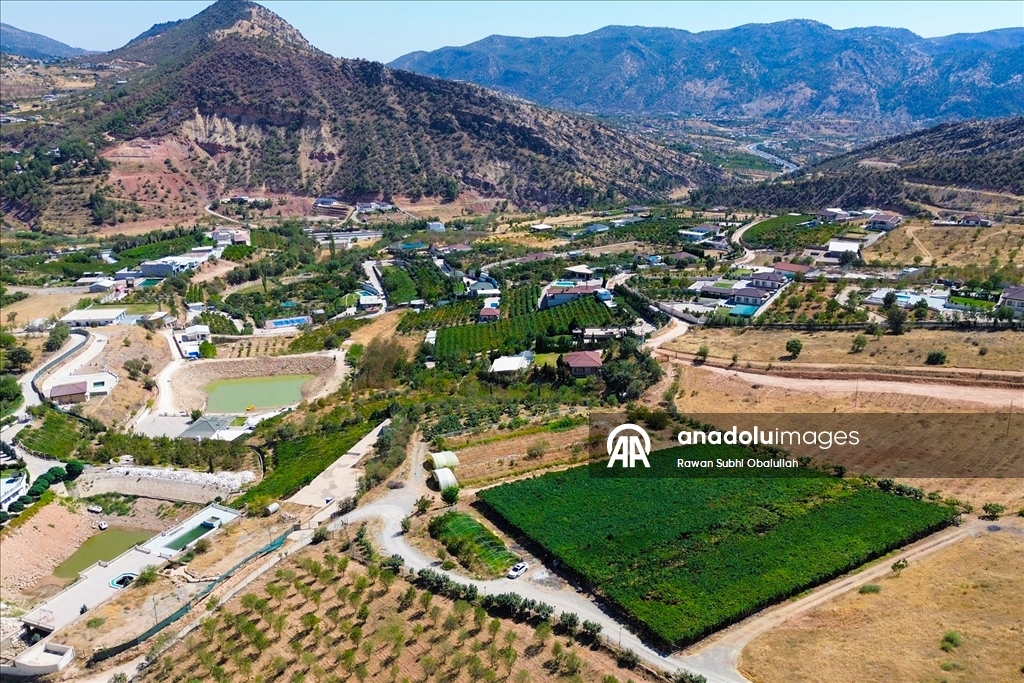 Iraklı Abdulrahman Süleyman, bağında 30 ton üzüm üreterek kuraklığa karşı mücadelenin ve tarımla geçimin mümkün olduğunun örneğini sergiliyor