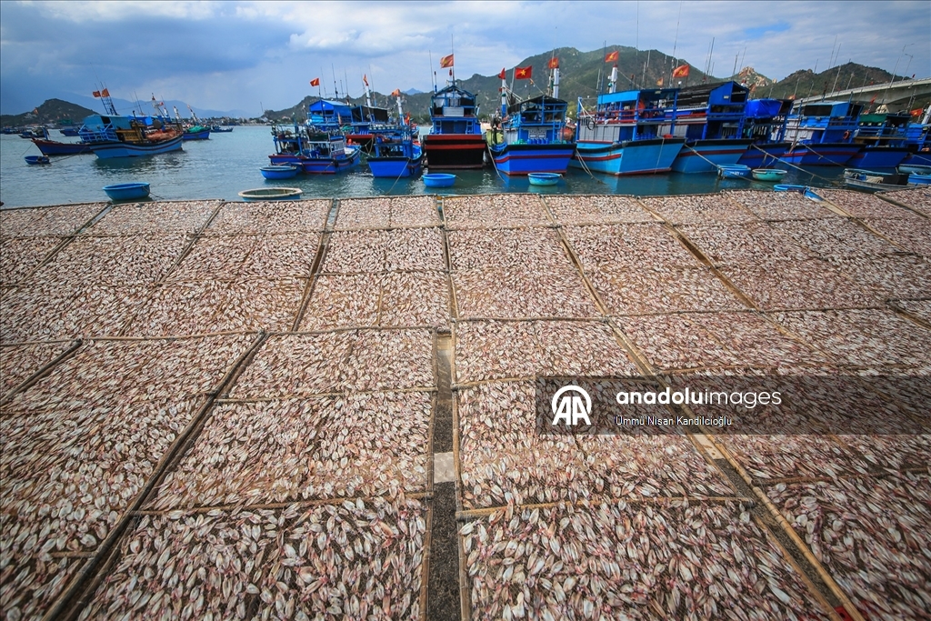 Vietnam’ın Khanh Hai kasabasındaki balıkçı köyünde bölgenin en büyük deniz ürünleri pazarı kuruluyor