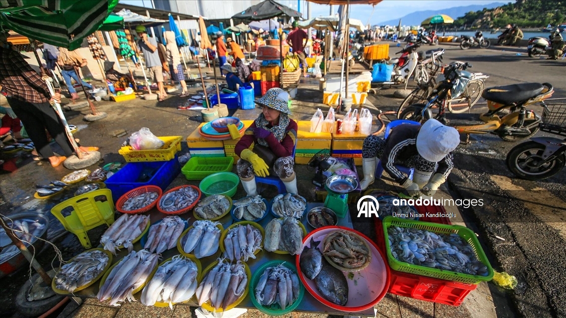Vietnam’ın Khanh Hai kasabasındaki balıkçı köyünde bölgenin en büyük deniz ürünleri pazarı kuruluyor