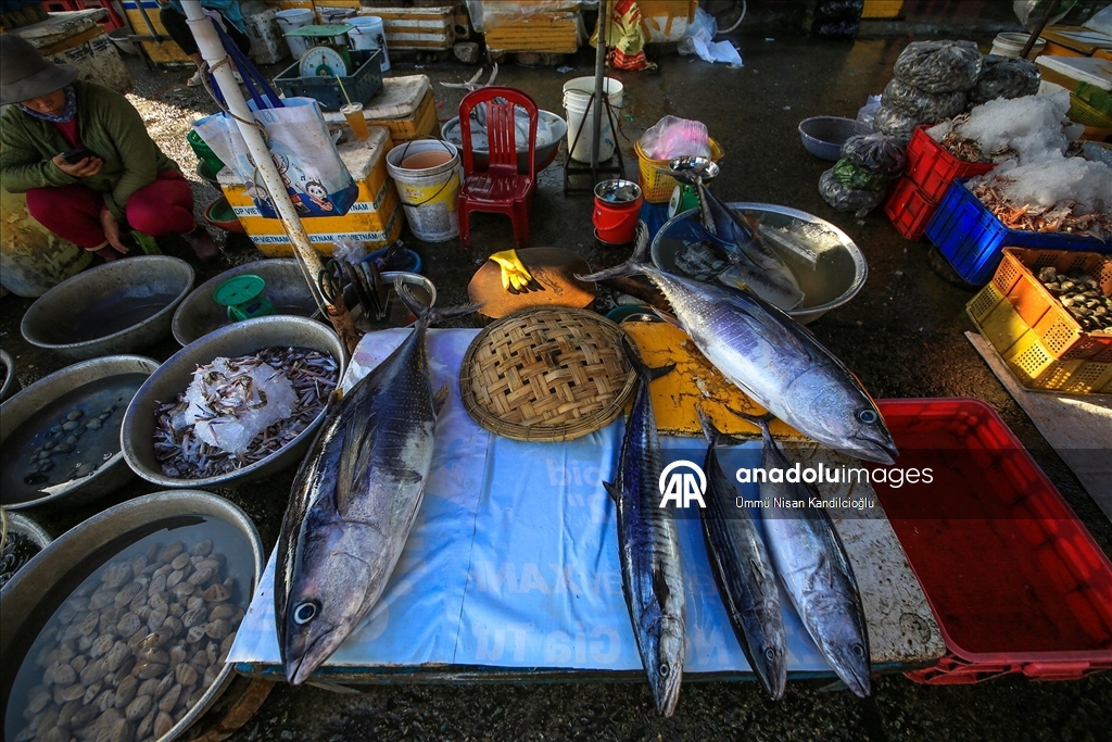 Vietnam’ın Khanh Hai kasabasındaki balıkçı köyünde bölgenin en büyük deniz ürünleri pazarı kuruluyor