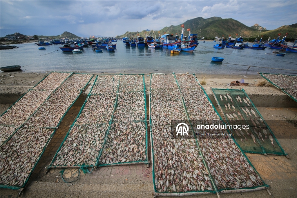 Vietnam’ın Khanh Hai kasabasındaki balıkçı köyünde bölgenin en büyük deniz ürünleri pazarı kuruluyor