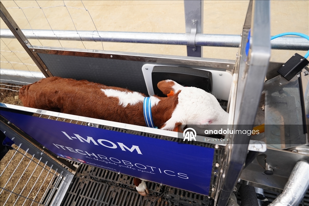 Akıllı tarım teknolojileri TEKNOFEST'te vitrine çıkacak