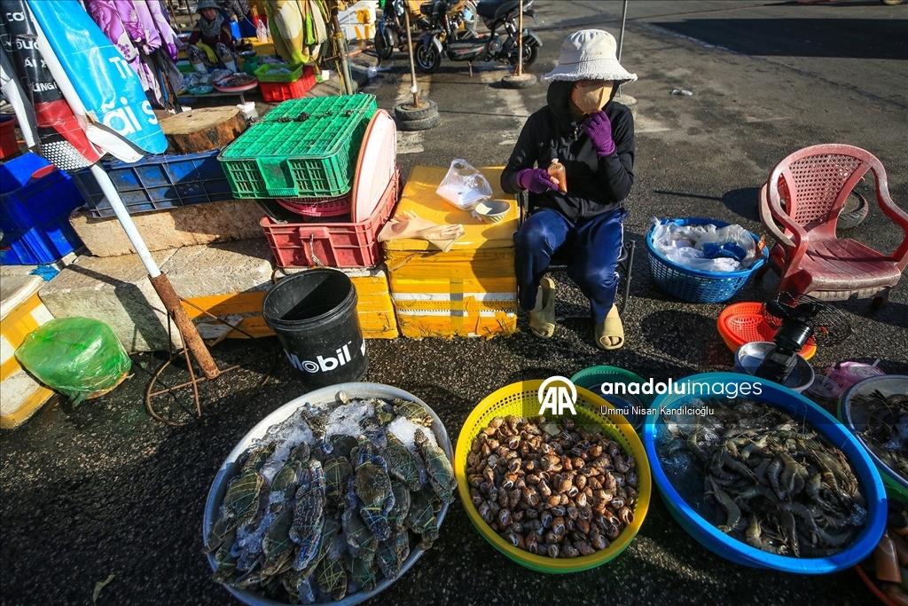 Vietnam’ın Khanh Hai kasabasındaki balıkçı köyünde bölgenin en büyük deniz ürünleri pazarı kuruluyor