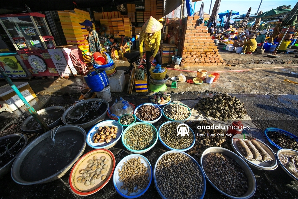 Vietnam’ın Khanh Hai kasabasındaki balıkçı köyünde bölgenin en büyük deniz ürünleri pazarı kuruluyor