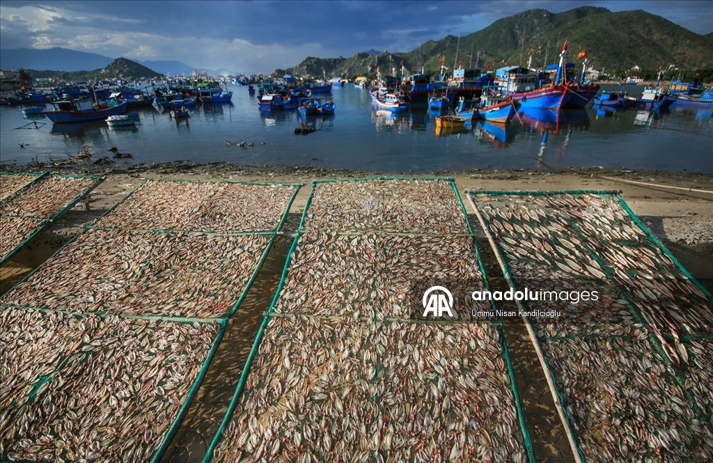 Vietnam’ın Khanh Hai kasabasındaki balıkçı köyünde bölgenin en büyük deniz ürünleri pazarı kuruluyor