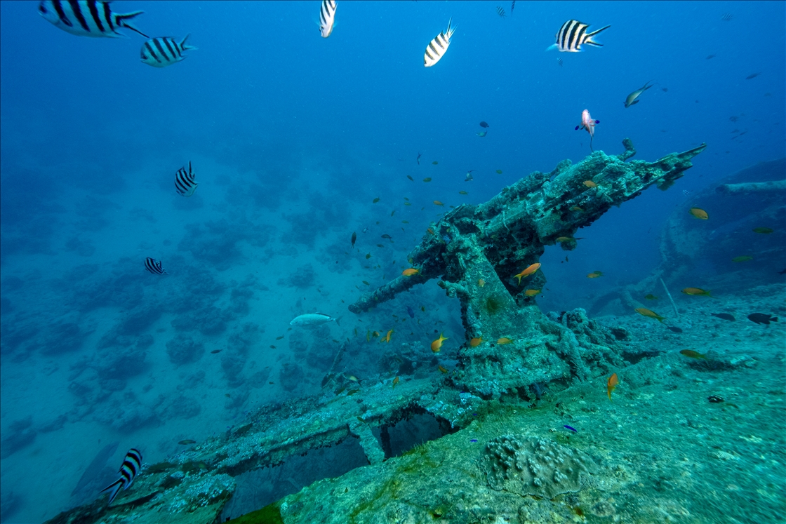 Thistlegorm wreck: Underwater time capsule revealing 84 years of history