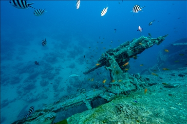 Thistlegorm wreck: Underwater time capsule revealing 84 years of history