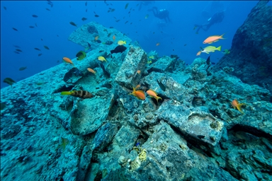 Затонувший корабль «Thistlegorm» превратился в музей с 84-летней историей