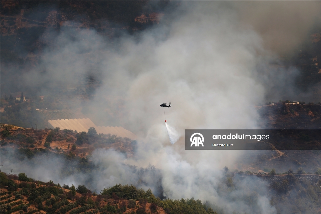 Antalya'nın Alanya ilçesinde ormanlık alanlarda çıkan yangınlara müdahale sürüyor