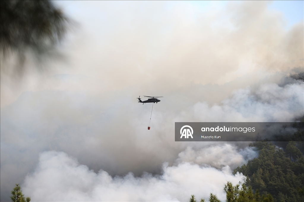 Antalya'nın Alanya ilçesinde ormanlık alanlarda çıkan yangınlara müdahale sürüyor