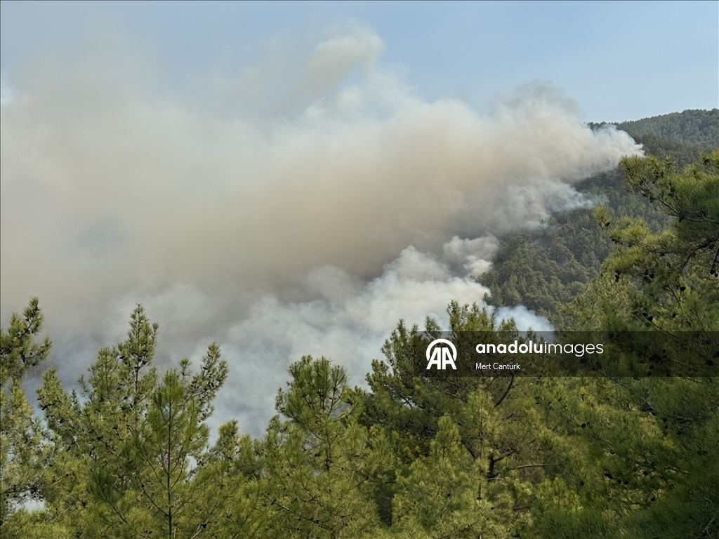 Antalya'nın Alanya ilçesinde ormanlık alanlarda çıkan yangınlara müdahale sürüyor