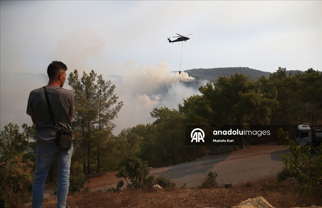 Antalya'nın Alanya ilçesinde ormanlık alanlarda çıkan yangınlara müdahale sürüyor