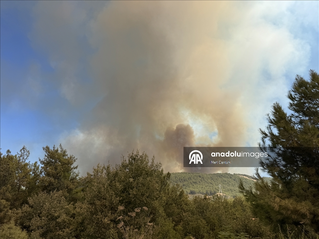 Antalya'nın Alanya ilçesinde ormanlık alanlarda çıkan yangınlara müdahale sürüyor
