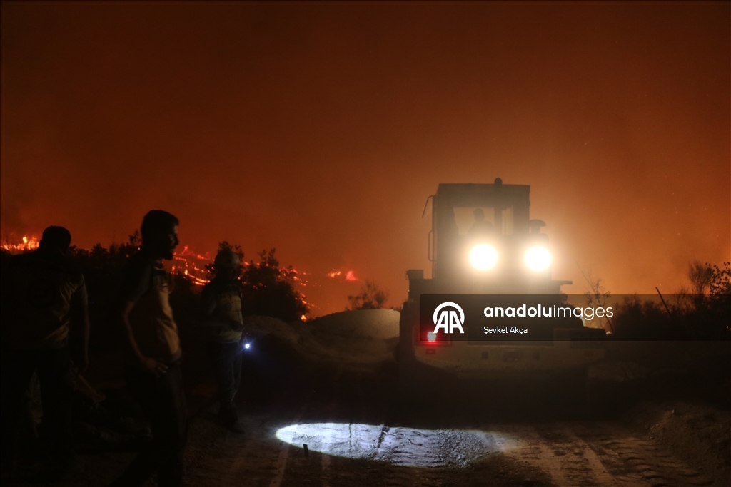В Сирии ликвидируют последствия лесных пожаров