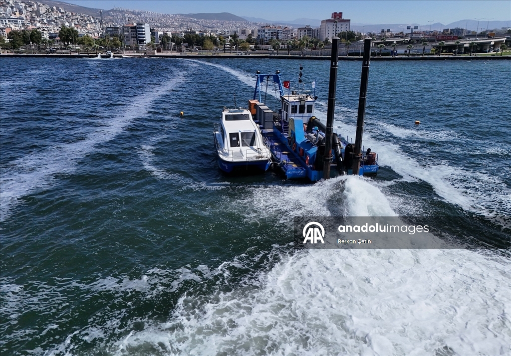 İzmir Körfezi'nde balık ölümleri sürüyor