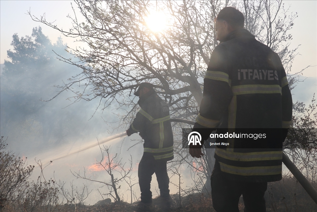 Suriye'nin Lazkiye ilindeki orman yangınları 4 gündür sürüyor