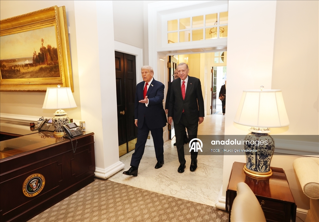 Turkish President Erdogan - US President Trump meeting in Washington