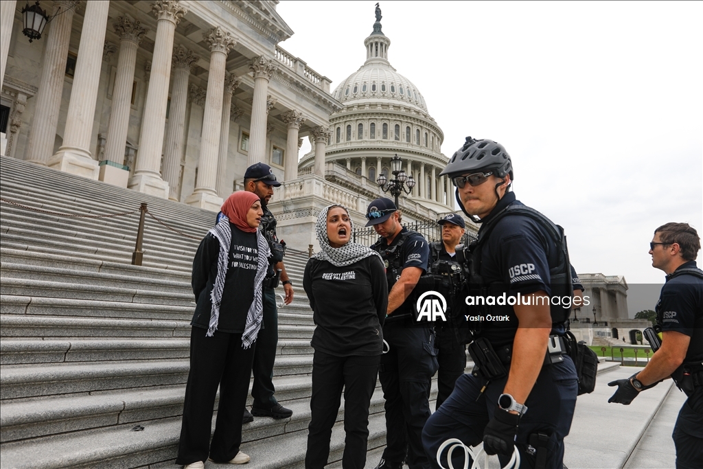 У здания Конгресса США прошла акция в поддержку Палестины
