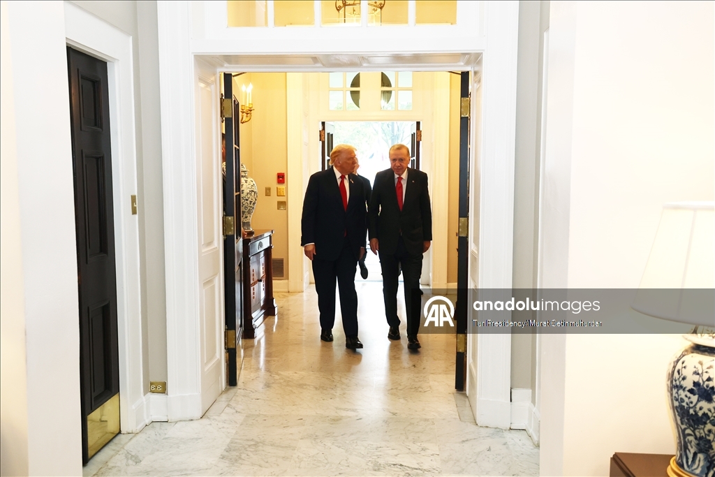 Sastanak u Washingtonu: Recep Tayyip Erdogan - Donald Trump