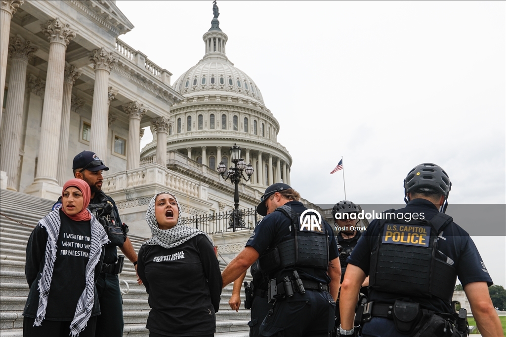 У здания Конгресса США прошла акция в поддержку Палестины