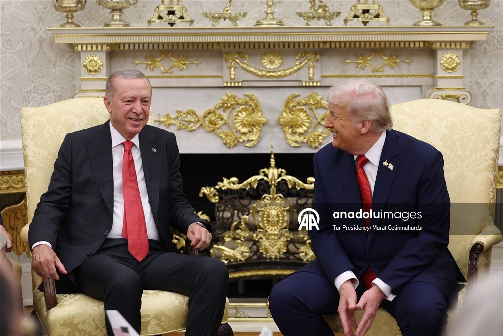 Sastanak u Washingtonu: Recep Tayyip Erdogan - Donald Trump