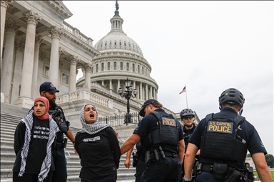 У здания Конгресса США прошла акция в поддержку Палестины