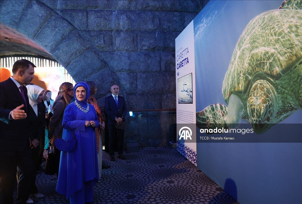 أمينة أردوغان: حصول الفلسطيني على شربة ماء بغزة يكلّفه حياته