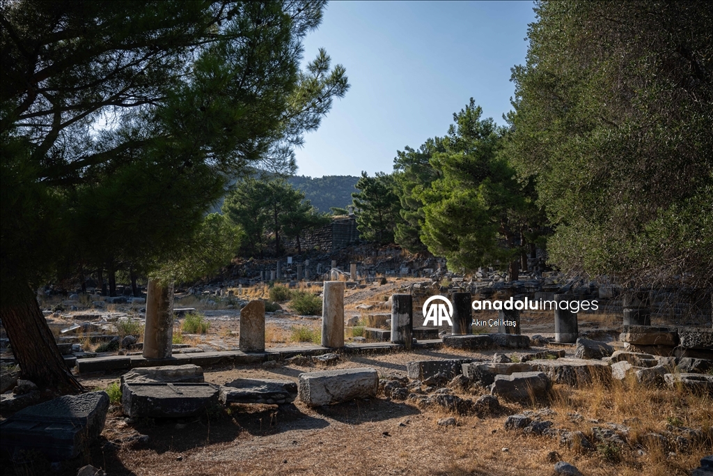 Ancient city of Priene in Turkiye's Aydin