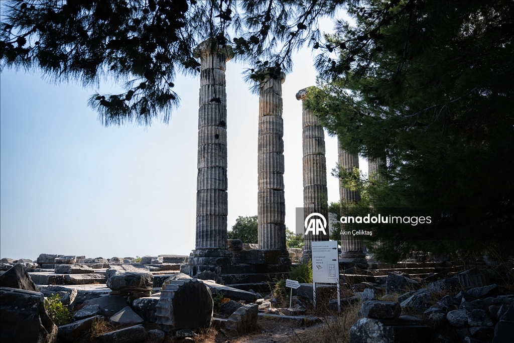 Ancient city of Priene in Turkiye's Aydin
