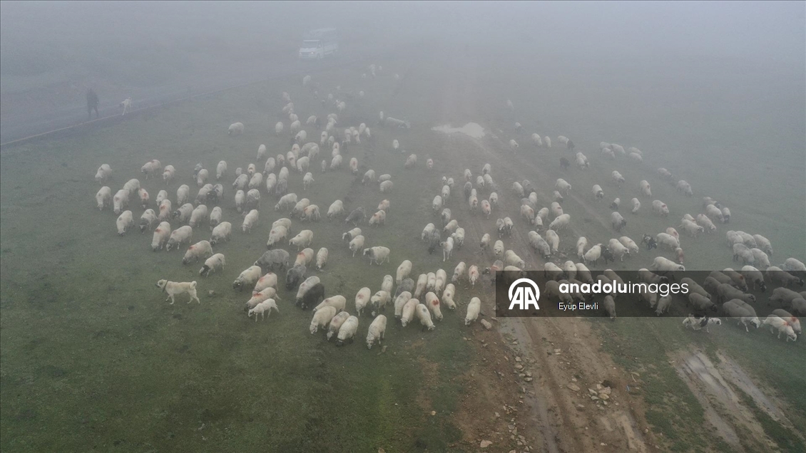 Sisler altındaki Karadeniz yaylalarından dönüş yolculuğu başladı