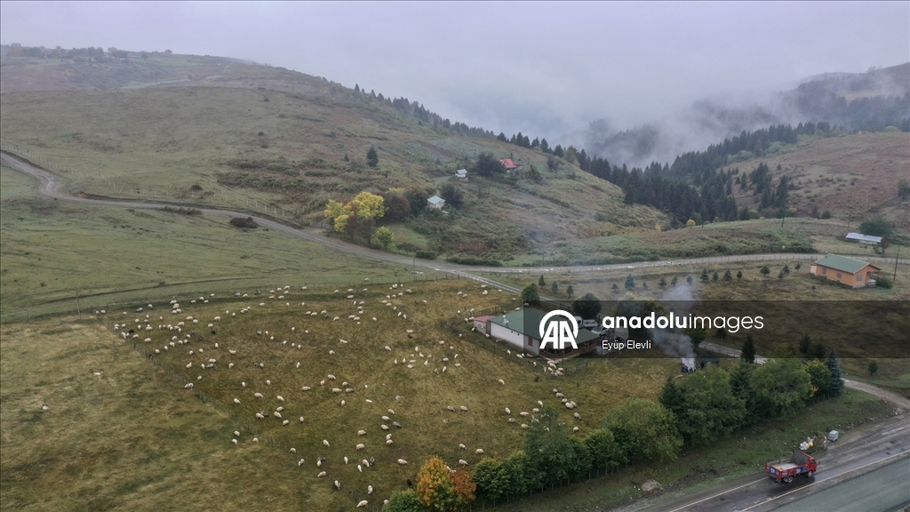 Sisler altındaki Karadeniz yaylalarından dönüş yolculuğu başladı