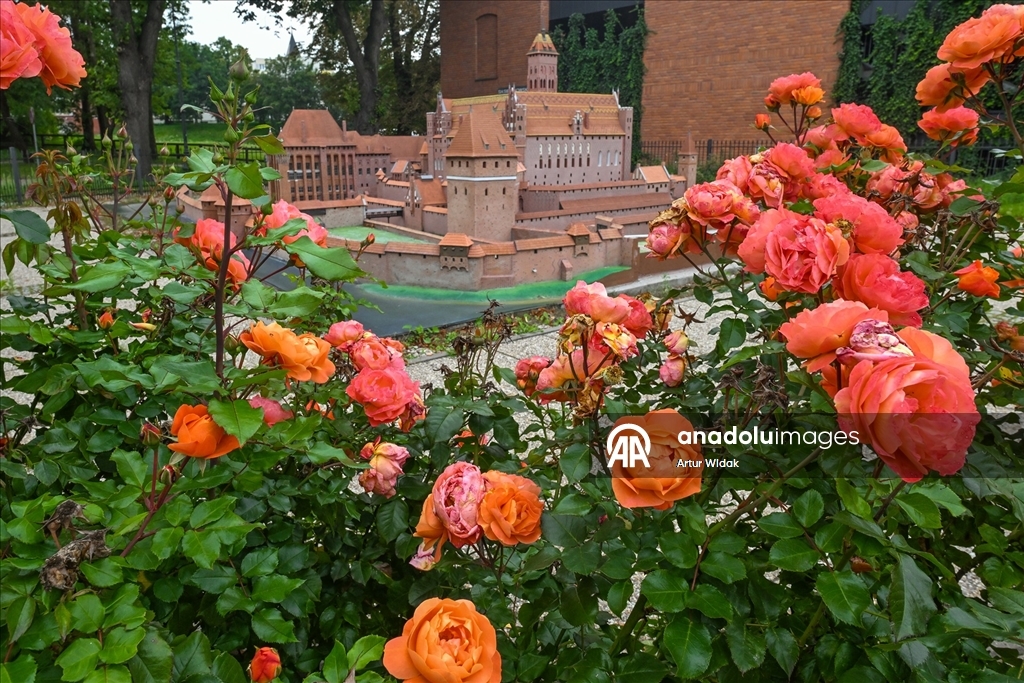 UNESCO Korumasındaki Gotik Anıt: Malbork Kalesi