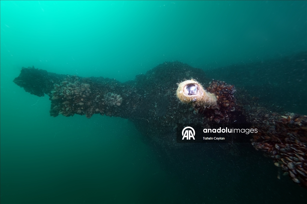 WWII-era German U-20 submarine off Turkish coast reveals traces of history