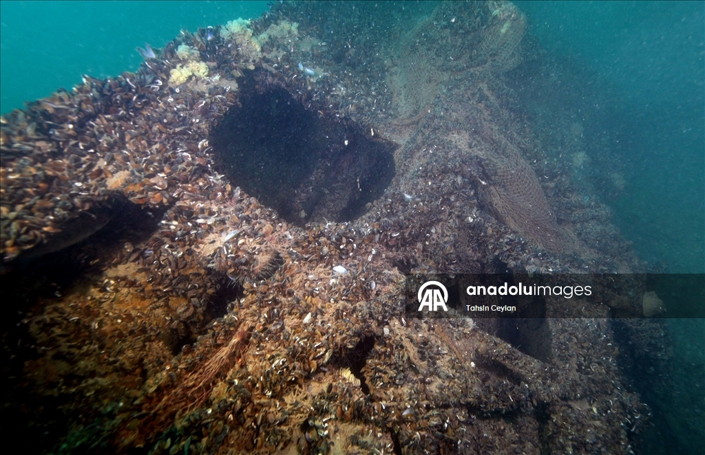 Karadeniz’de batırılan denizaltılar sessiz tanıklığını sürdürüyor