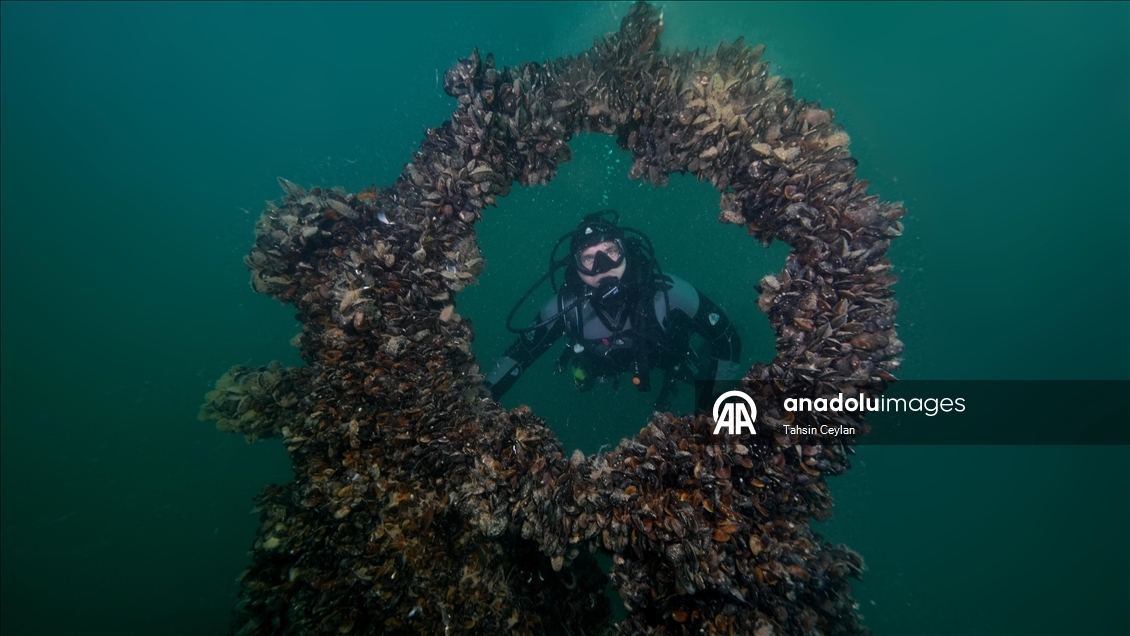 Karadeniz’de batırılan denizaltılar sessiz tanıklığını sürdürüyor