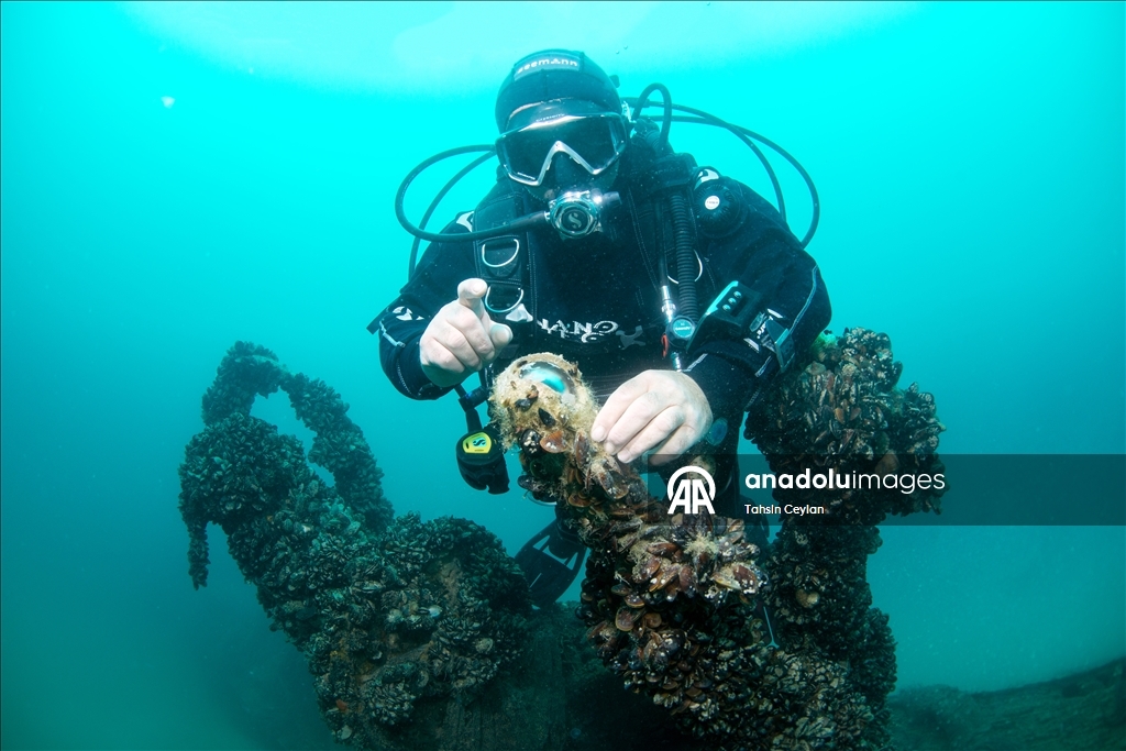 Karadeniz’de batırılan denizaltılar sessiz tanıklığını sürdürüyor