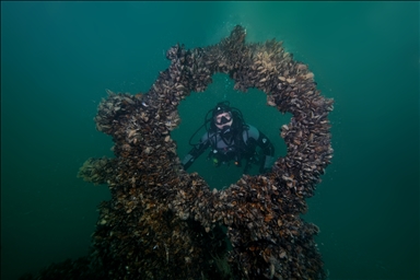 WWII-era German U-20 submarine off Turkish coast reveals traces of history