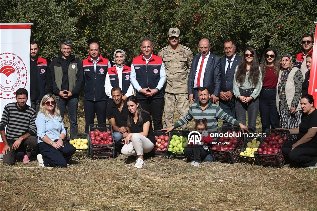 Li bajarê sar Qersê, li herêma ku xwedî "mîkroklîma" ye çandiniya sêvên organîk dikin