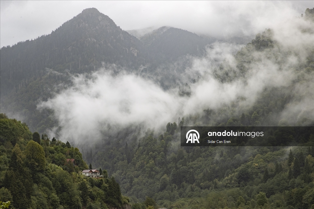 Rize'nin tarihi, doğal ve kültürel güzellikleri ilgi çekiyor