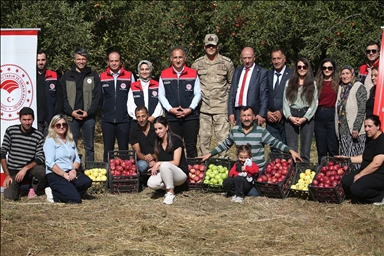 Li bajarê sar Qersê, li herêma ku xwedî "mîkroklîma" ye çandiniya sêvên organîk dikin