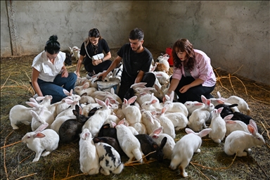 Turkish farmer breeds New Zealand rabbits in Van