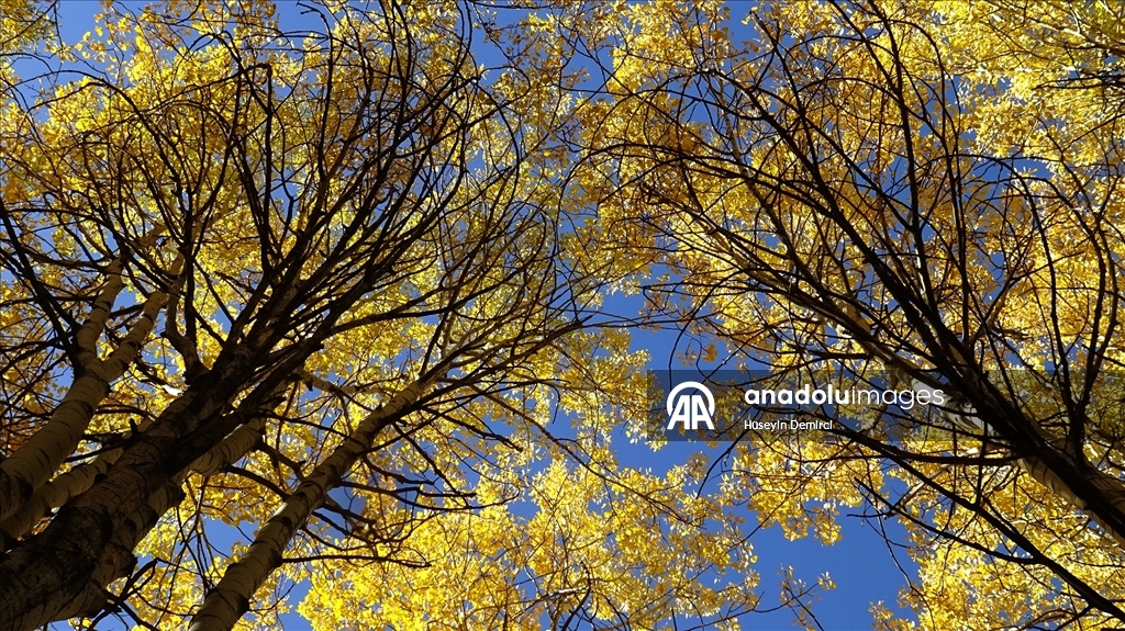 Kars'ın doğası sonbahar renkleriyle süslenmeye başladı