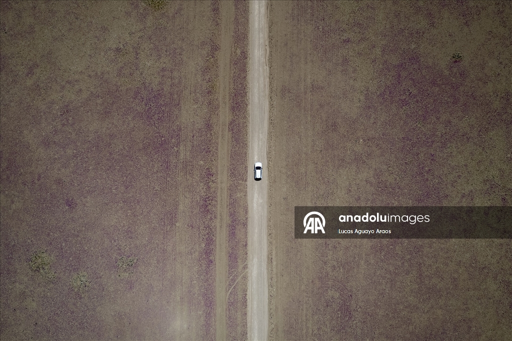 Dünyanın en kurak çölü olan Atacama Çölü, Şili’de olağandışı yağışların ardından çiçek açtı