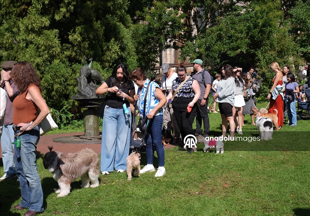 В Нью-Йорке прошла церемония благословения животных