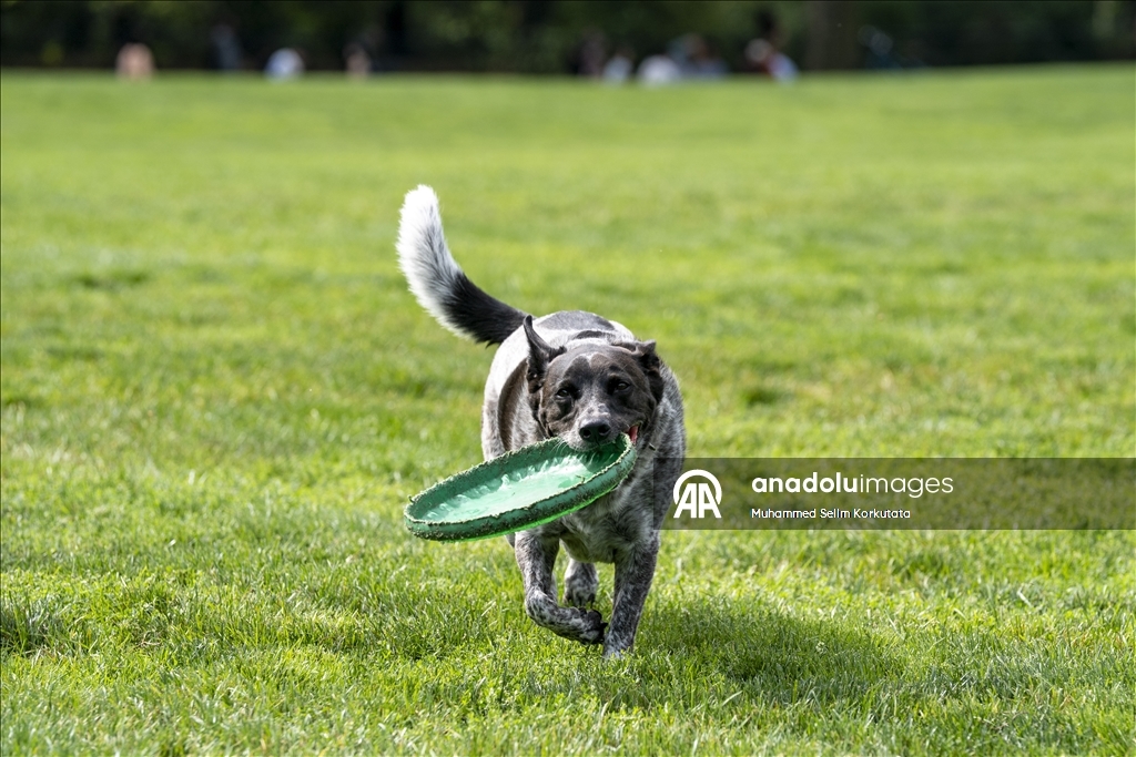 ABD'de günlük yaşam