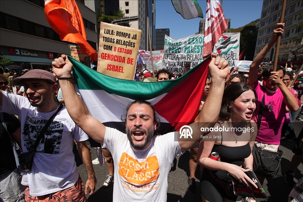 В Сан-Паулу прошли протесты против нападений Израиля на Газу